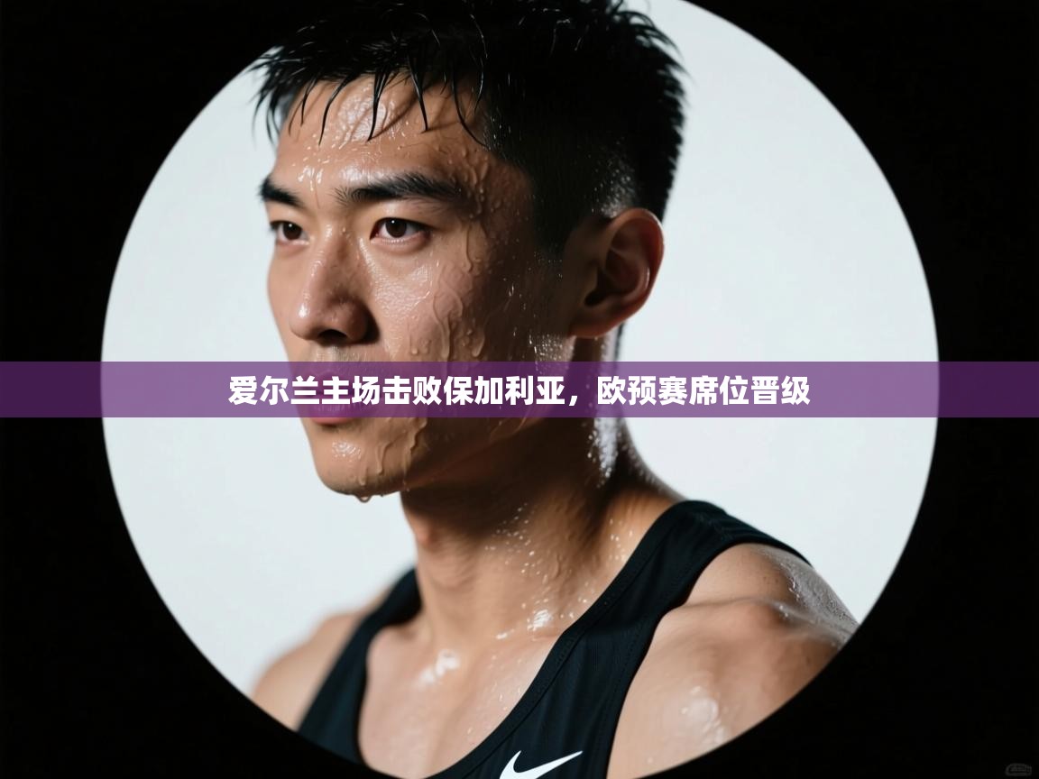 爱尔兰主场击败保加利亚,欧预赛席位晋级 第2张